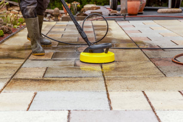 Best Animal Enclosure Cleaning  in Mathis, TX